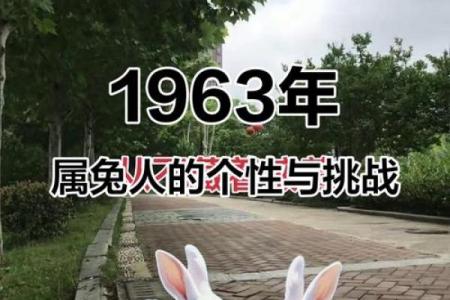 土兔命富贵还是贫穷