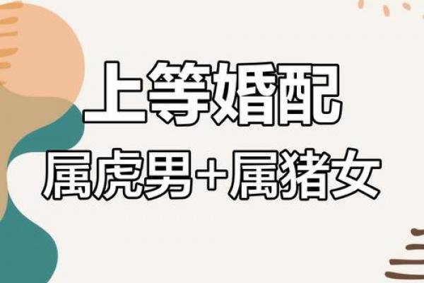 属虎者离婚后能否破镜重圆，其对婚姻解体的真实心态