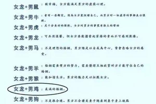 属龙者运势最佳的职业选择