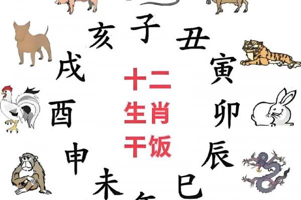 属蛇女性出嫁忌配的三个属相