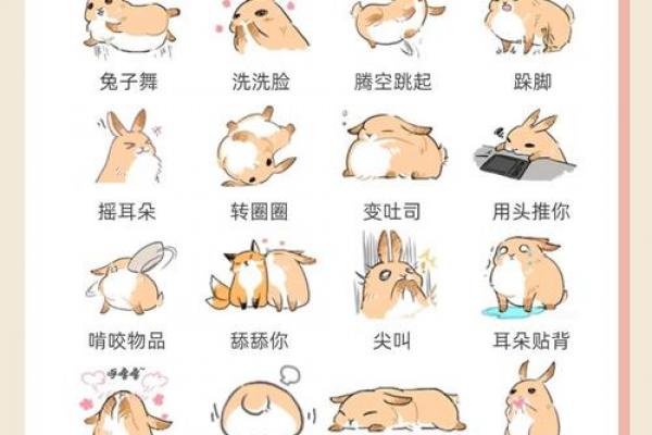 旺大溪水命的兔属相解析