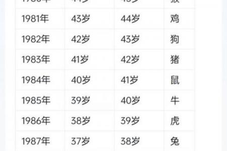 属龙者运势最佳的职业选择