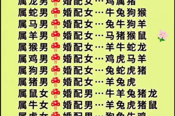 火鸡命与大海水命婚配是否相宜