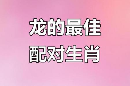 属龙者晚年是否有伴侣