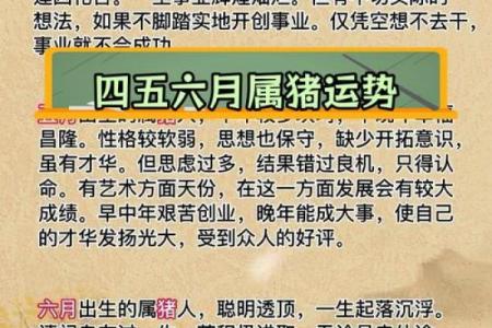 属猪者晚婚究竟是福还是祸