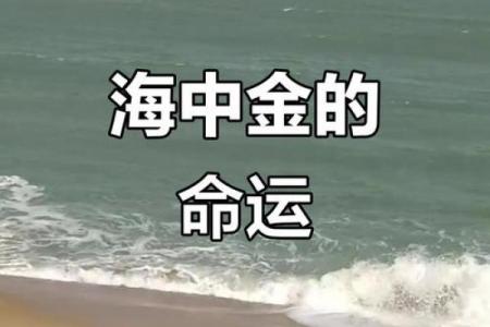 海中金命与海中金命是否相配
