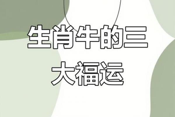 属牛者2026年是否遇大孝