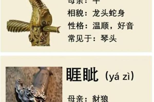 龙女最看不上哪个生肖男