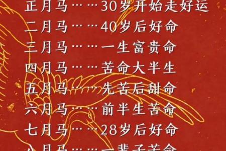 2002年属马女性姻缘何时到来