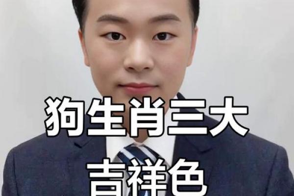 2026年属狗人需避开的禁忌色系