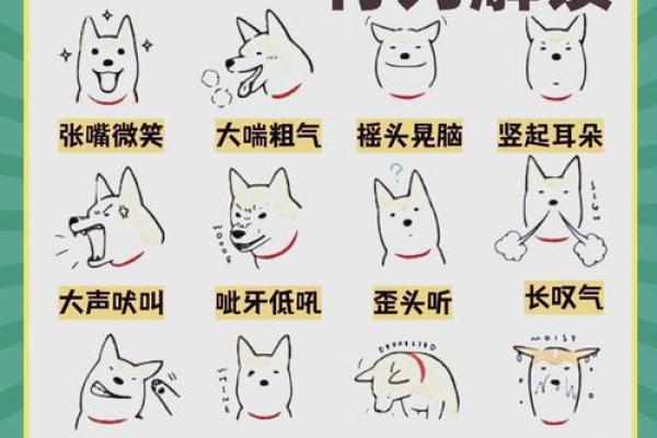 能让狗男低头的生肖女