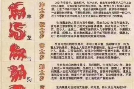 属虎人2026年婚姻运势解析