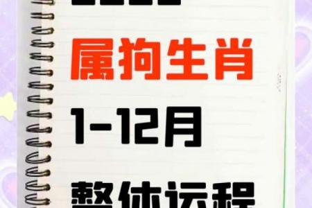 2026年属狗者投资吉凶分析