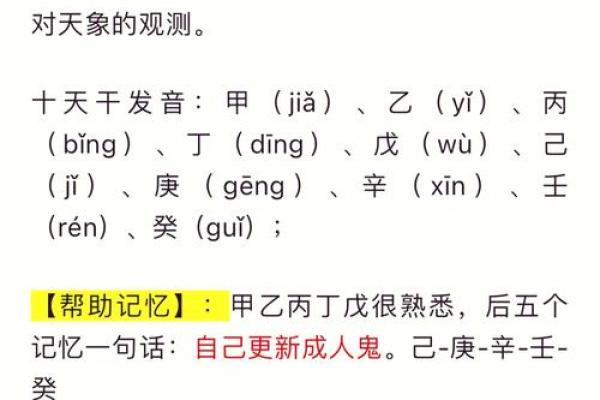 十二地支顺口溜精简版