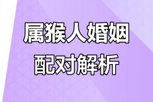 属猴女子何人相伴终老