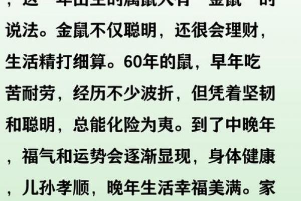 2026年生肖鼠的事业发展趋向