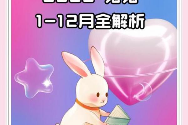 属兔人2026年事业运势解析