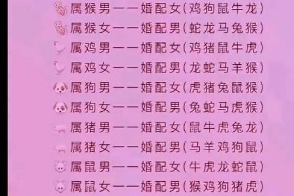 属兔女性婚嫁忌讳方位与相冲生肖解析