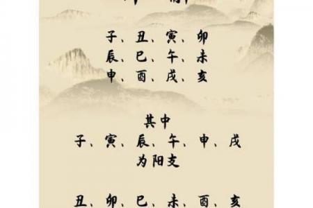 十二地支顺口溜精简版