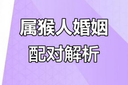属猴女子何人相伴终老