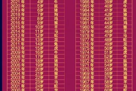 04年属猴最佳结婚年龄
