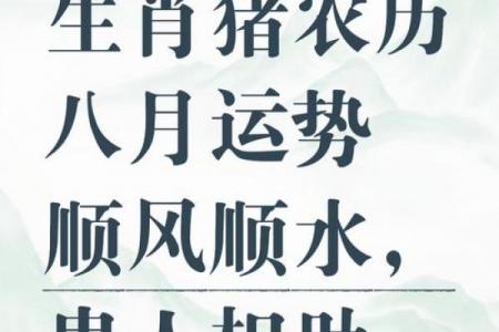 猪对应的地支及性格特征