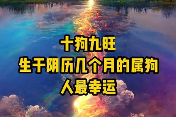 属狗者最吉利的职业选择