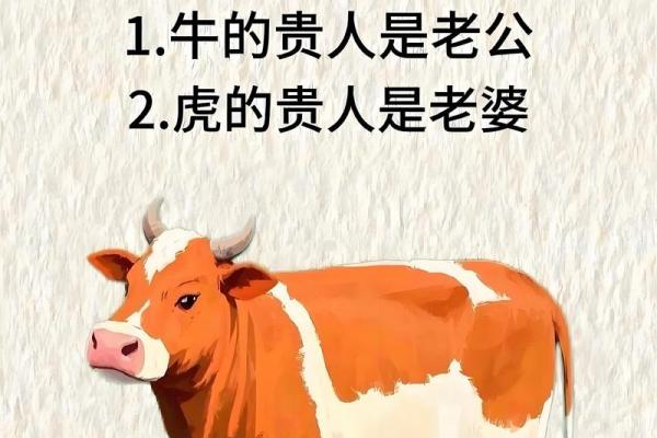 属牛者更适合职场发展还是自主创业
