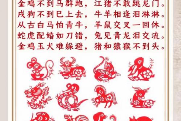女鼠最佳配对属相