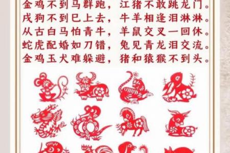 女鼠最佳配对属相
