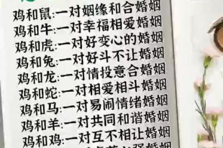 属鸡二婚配偶与幸福前景分析