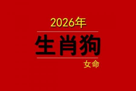 2026年属狗男士桃花运旺到爆