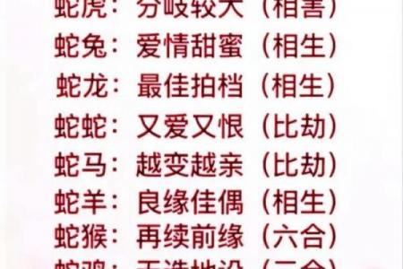 属龙男最钟意的属相女