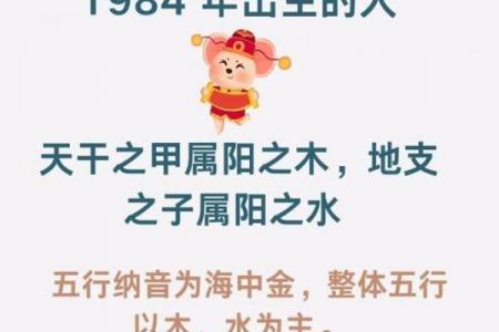丑时出生属鼠者最需避开三样禁忌