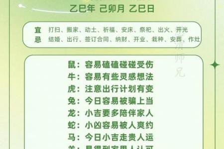2026年属兔人灾厄走势与流年运势解析