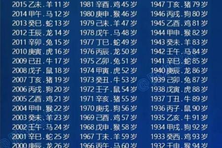 属蛇女性2026年重大变故
