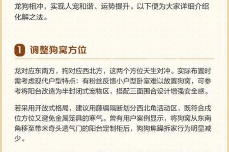 属龙人运势不顺的化解方法
