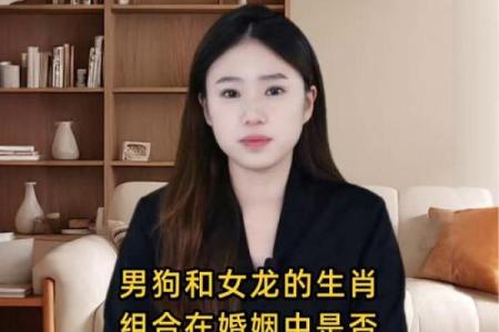 属狗男难以驾驭的生肖女