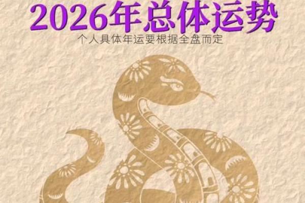 蛇在2026马年事业运势解析