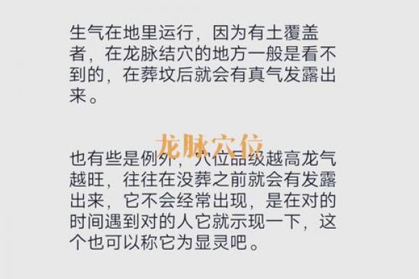 属龙者能压制何类人