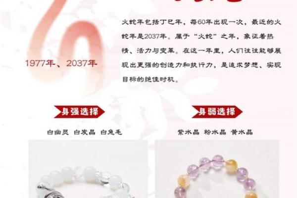 属蛇事业上和什么不合：完整指南与实践