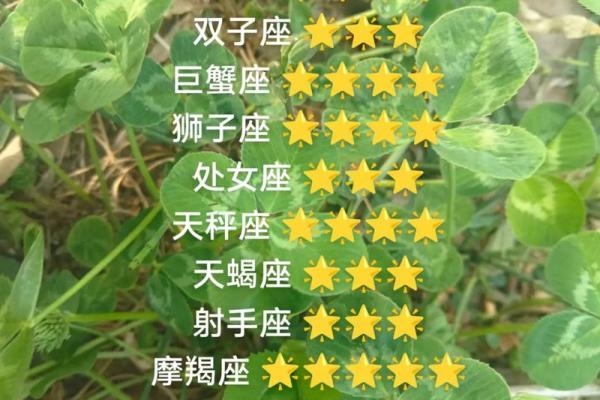 属鼠白羊座今日运势
