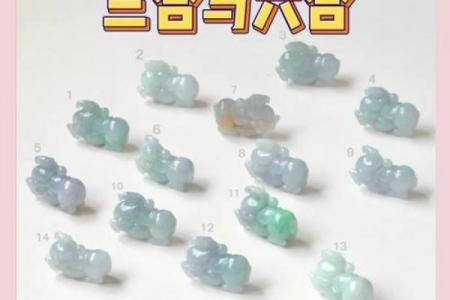 2026年生肖虎的克星及需远离的生肖