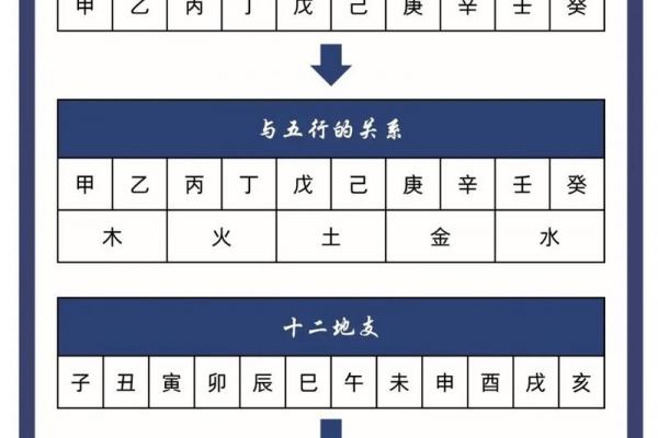 十天干与十二地支的五行归属