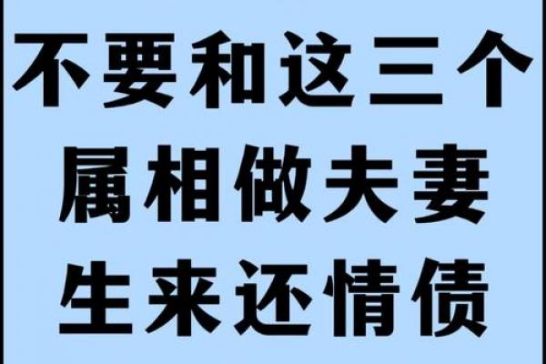 深入理解属蛇的上上等婚姻是什么生肖