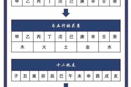 十天干与十二地支的五行归属