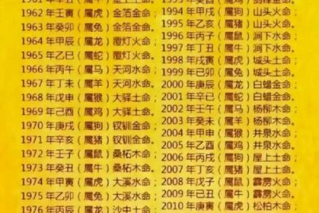金羊命理五行缺失分析