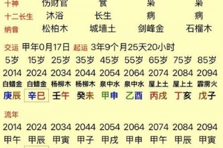 火龙命的命格解析