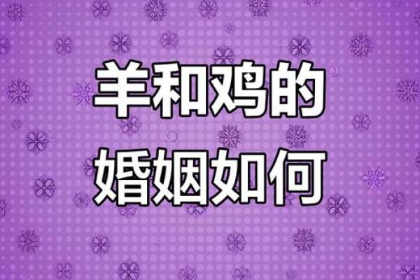 属鸡人离婚后能否获得幸福