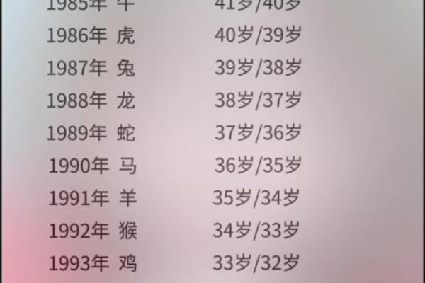 鸡的心上人对应的生肖